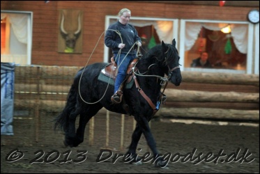 Roping-297