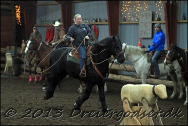 Roping-298