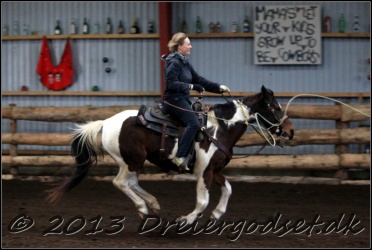 Roping-307