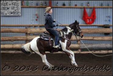 Roping-309