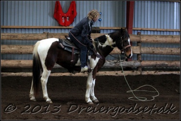 Roping-310