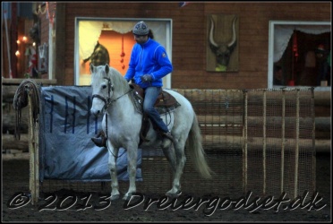 Roping-311