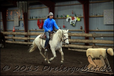 Roping-313