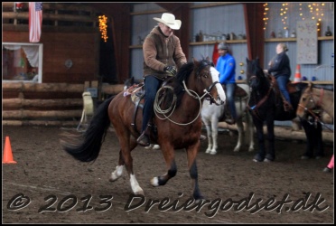 Roping-328