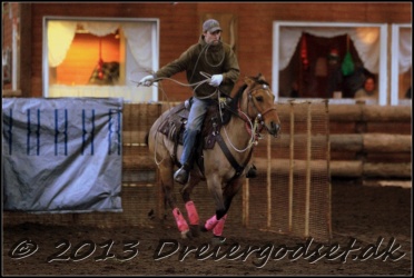 Roping-335