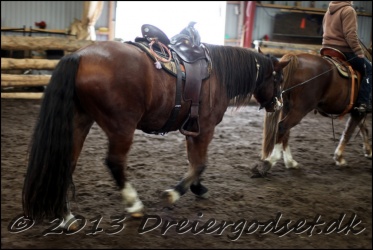 Roping-085