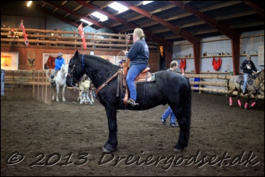 Roping-106