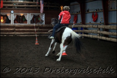 Roping-391