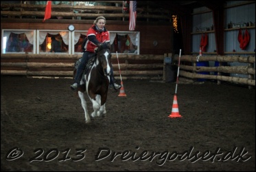 Roping-394