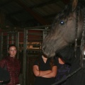 m  nstringsdag 2014 021