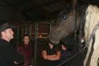 m  nstringsdag 2014 021