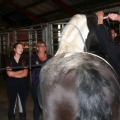 m  nstringsdag 2014 024