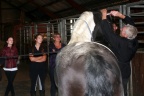 m  nstringsdag 2014 024