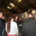 m  nstringsdag 2014 033