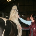 m  nstringsdag 2014 043