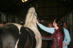 m  nstringsdag 2014 043