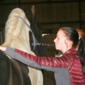 m  nstringsdag 2014 045
