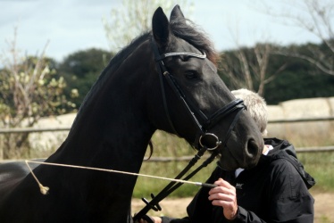 m  nstringsdag 2014 158