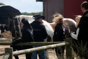 m  nstringsdag 2014 164