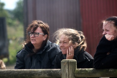 m  nstringsdag 2014 199
