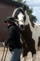 m  nstringsdag 2014 210