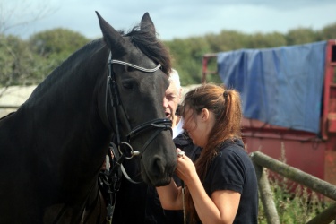 m  nstringsdag 2014 237