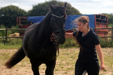 m  nstringsdag 2014 260