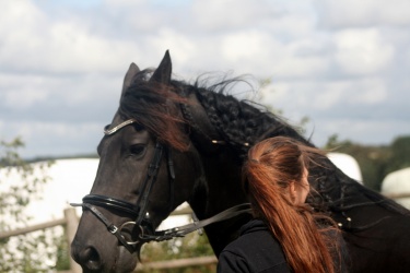 m  nstringsdag 2014 266