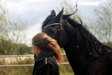 m  nstringsdag 2014 275