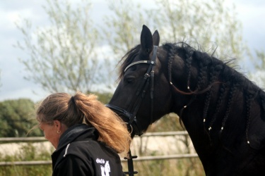 m  nstringsdag 2014 276