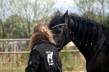 m  nstringsdag 2014 301