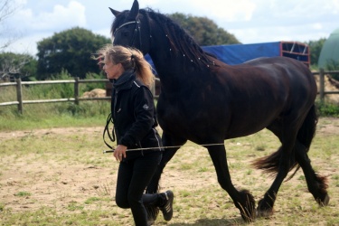 m  nstringsdag 2014 308