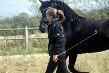 m  nstringsdag 2014 310