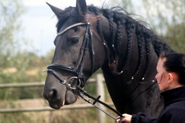m  nstringsdag 2014 326
