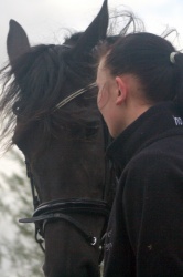 m  nstringsdag 2014 341