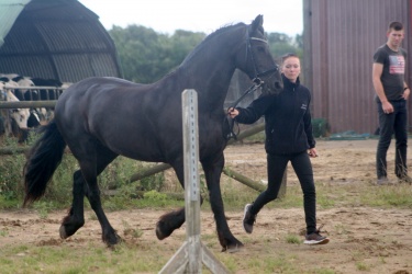 m  nstringsdag 2014 348