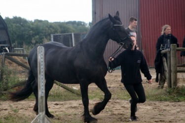 m  nstringsdag 2014 349