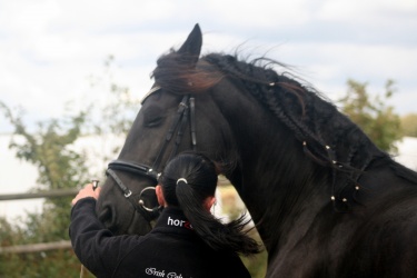 m  nstringsdag 2014 351