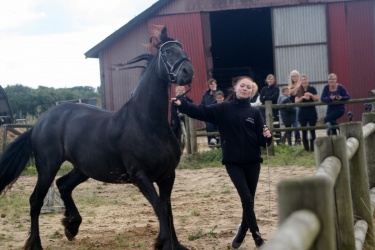 m  nstringsdag 2014 360