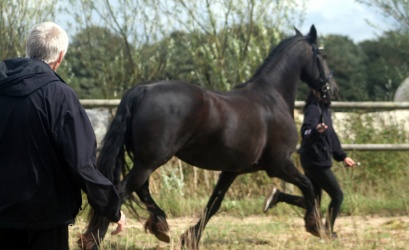 m  nstringsdag 2014 366