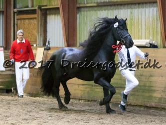 O Damian Sport 063