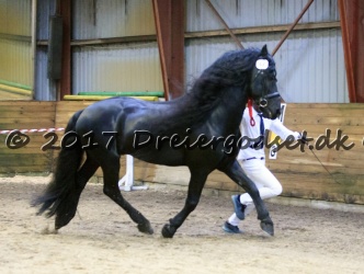 O Damian Sport 067