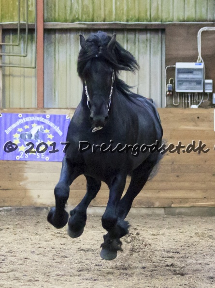 Elvis_af_Jyndevad_033.jpg