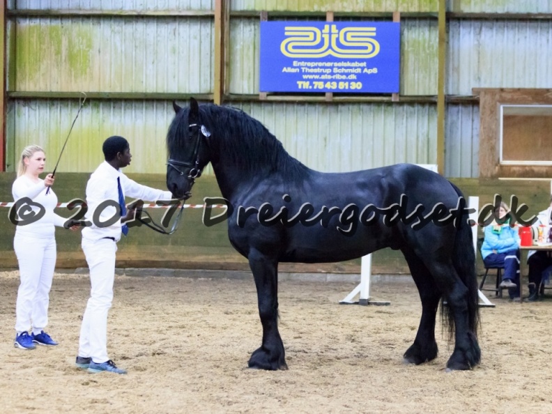 Elvis_af_Jyndevad_062.jpg