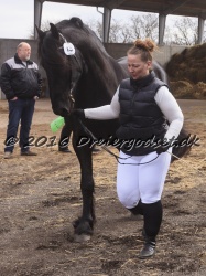 Elvis Af Jyndevad 002