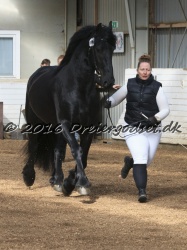 Elvis Af Jyndevad 014