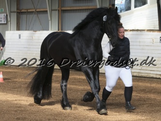 Elvis Af Jyndevad 015