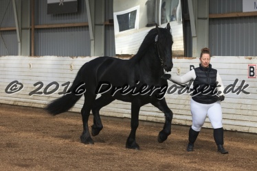 Elvis Af Jyndevad 023