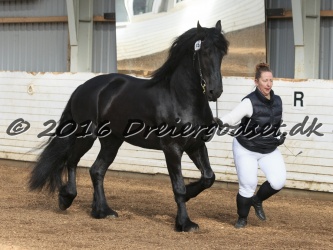 Elvis Af Jyndevad 028