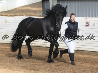 Elvis Af Jyndevad 029